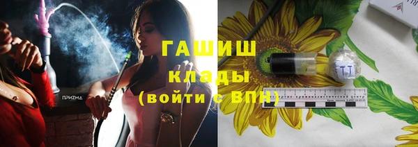 прущие грибы Магас