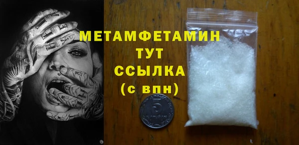 прущие грибы Магас