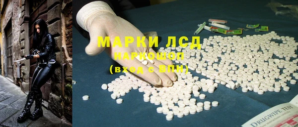 прущие грибы Магас