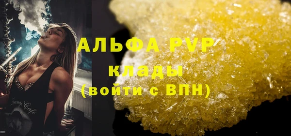 прущие грибы Магас