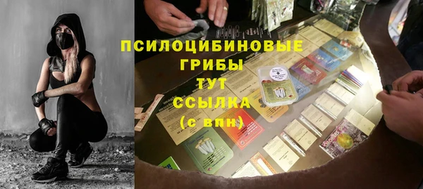 прущие грибы Магас