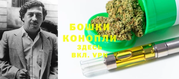 прущие грибы Магас