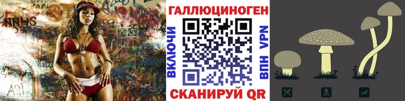где продают   Нижние Серги  Галлюциногенные грибы Cubensis 